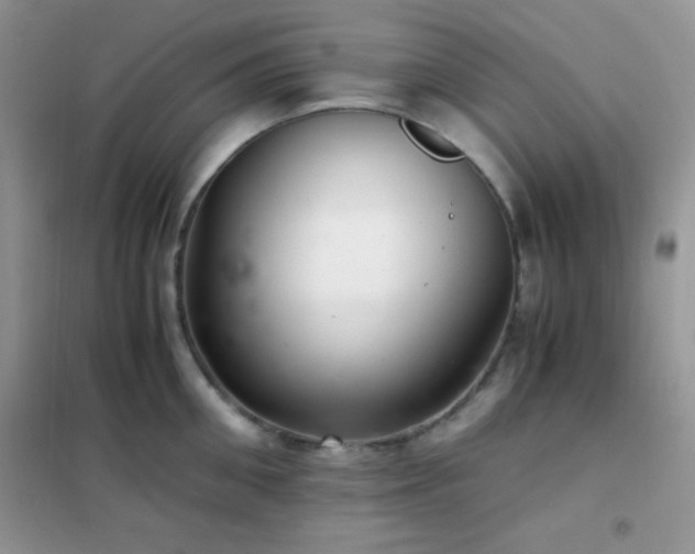 X0000102380906200808011534