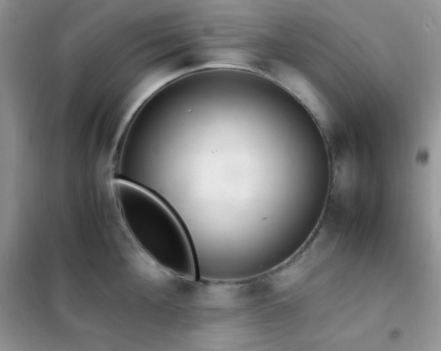 X0000102380908200808011534