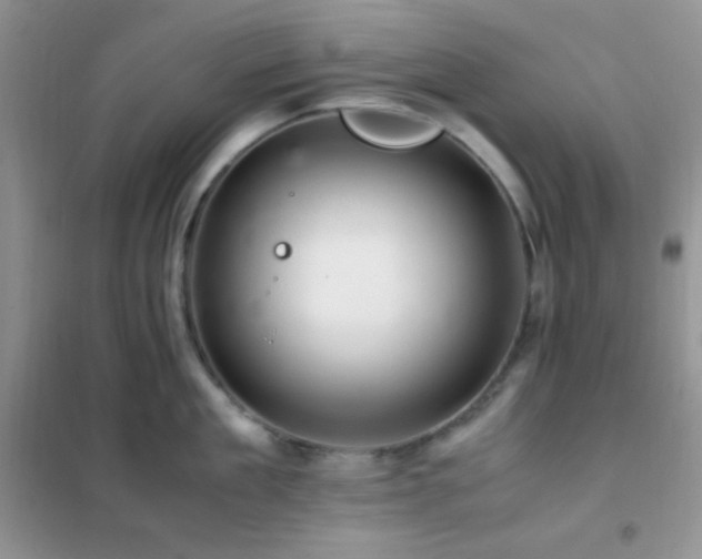 X0000102380909200808011534