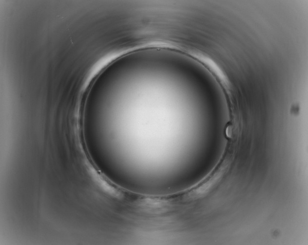 X0000102380910200808011534