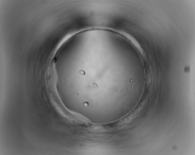 X0000102380911200808011534