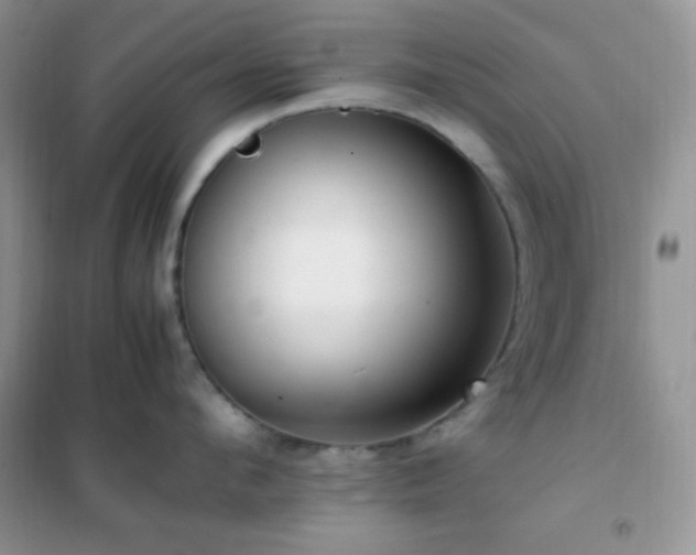X0000102380912200808011534