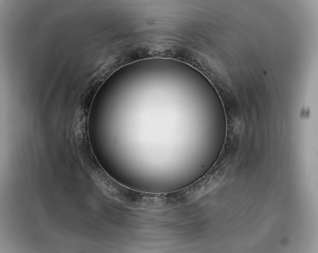 X0000102380914200808011533