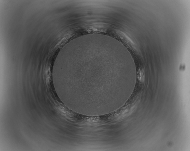 X0000102380915200808011533
