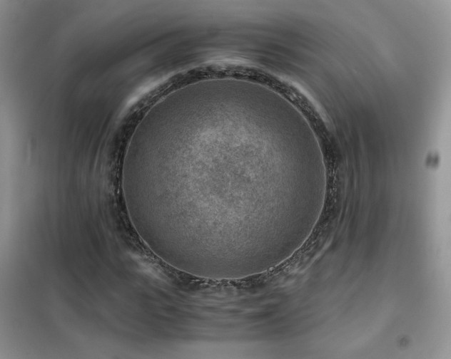 X0000102380919200808011533