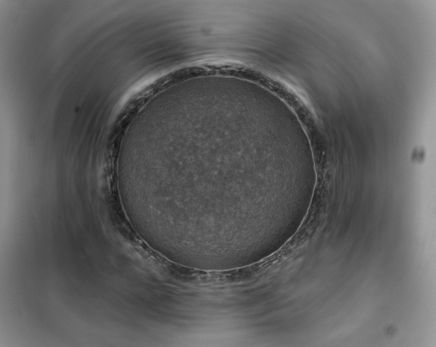 X0000102380920200808011533