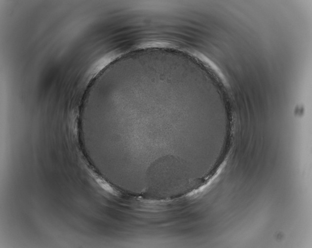 X0000102380921200808011533