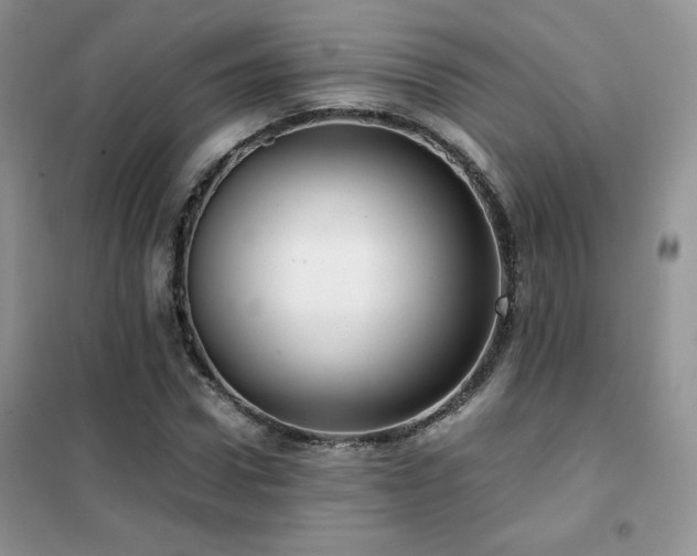 X0000102380922200808011533