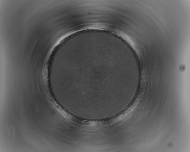 X0000102380923200808011533