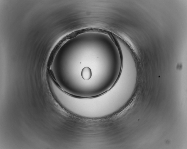 X0000102380924200808011533