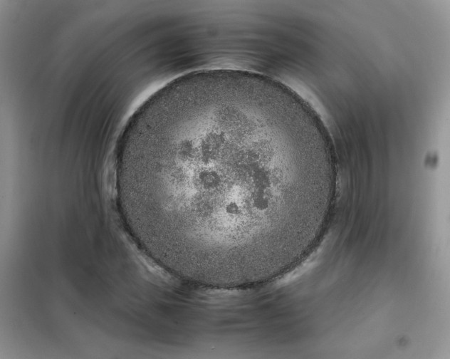 X0000102380925200808011533