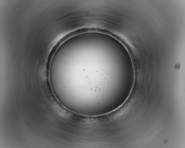 X0000102380927200808011533