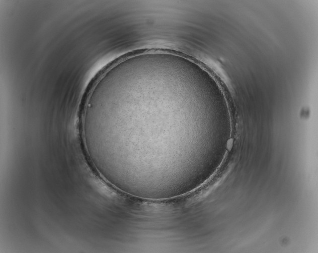 X0000102380928200808011533