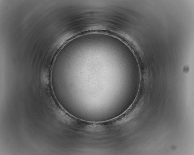 X0000102380929200808011533