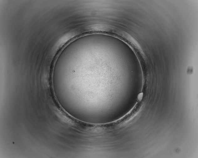 X0000102380930200808011533