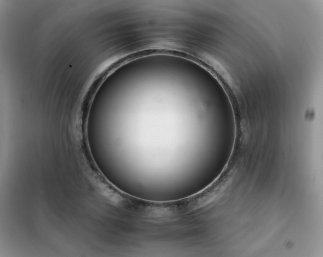 X0000102380931200808011533