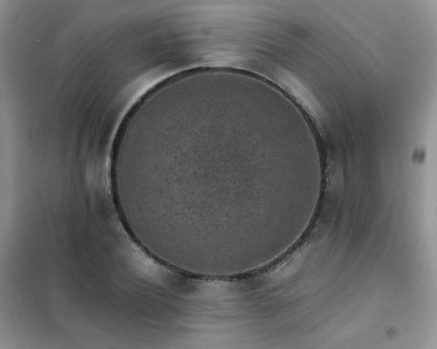 X0000102380932200808011533