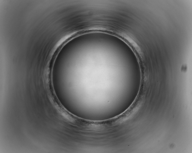 X0000102380933200808011533