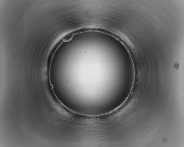 X0000102380934200808011533