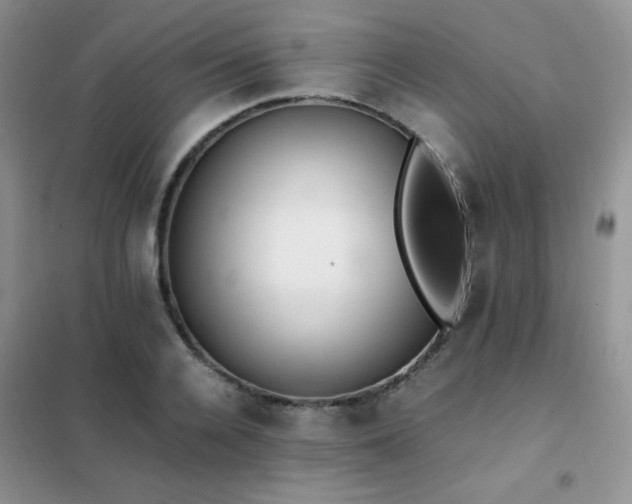 X0000102380936200808011533