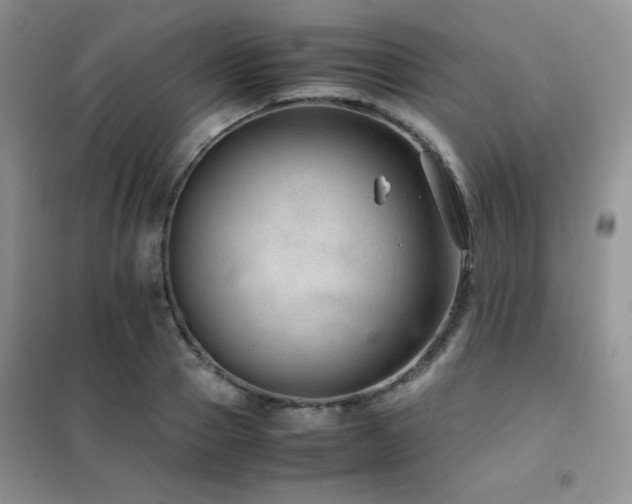 X0000102380937200808011533