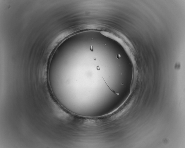 X0000102380938200808011533