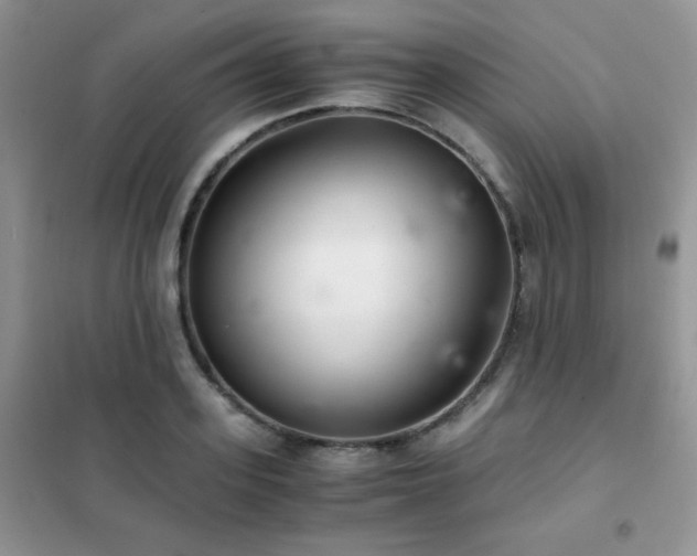 X0000102380939200808011533