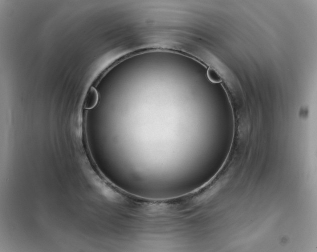 X0000102380940200808011533