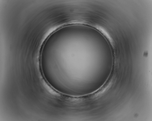 X0000102380941200808011533