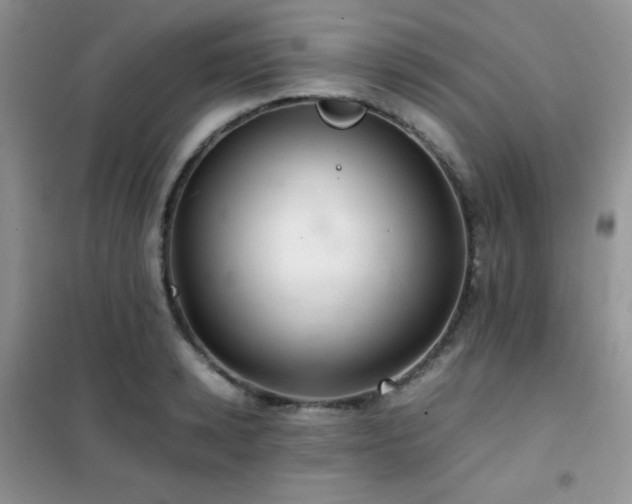 X0000102380942200808011533