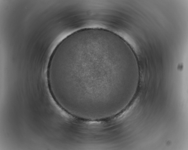 X0000102380943200808011533