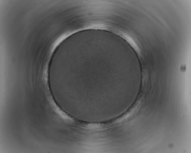 X0000102380944200808011533