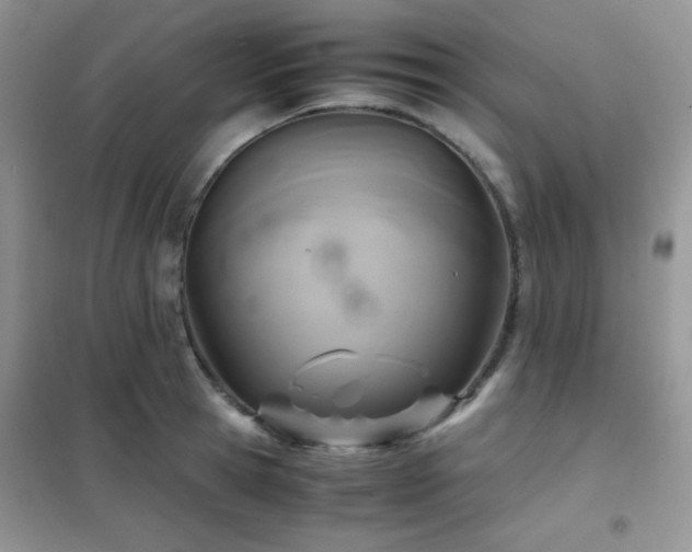 X0000102380945200808011533