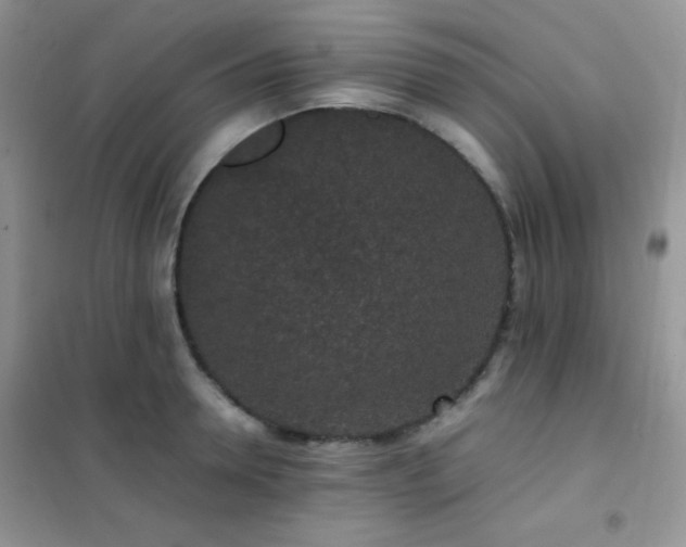 X0000102380946200808011534