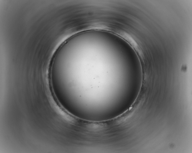 X0000102380947200808011534