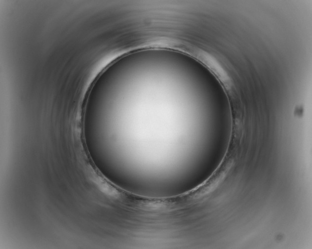 X0000102380948200808011534
