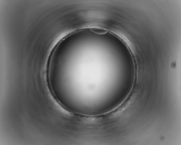X0000102380949200808011534
