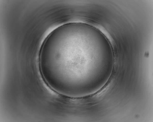 X0000102380951200808011534