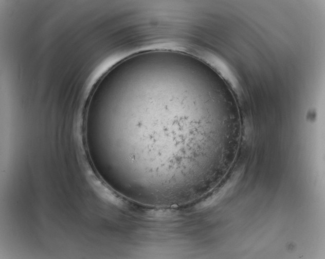 X0000102380952200808011534