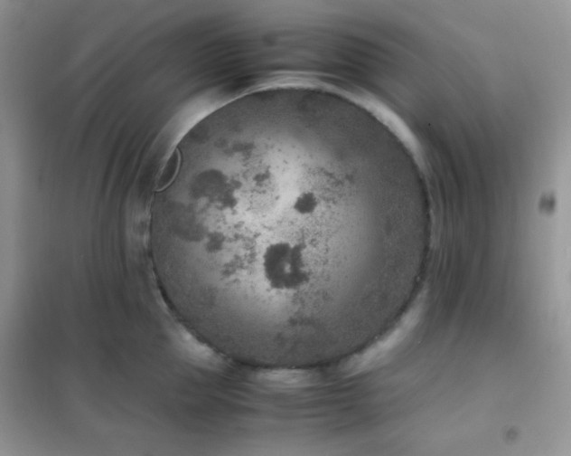 X0000102380953200808011534