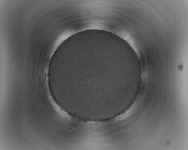 X0000102380954200808011534