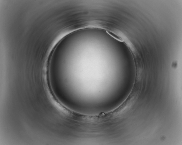 X0000102380955200808011534
