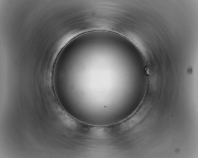 X0000102380956200808011534