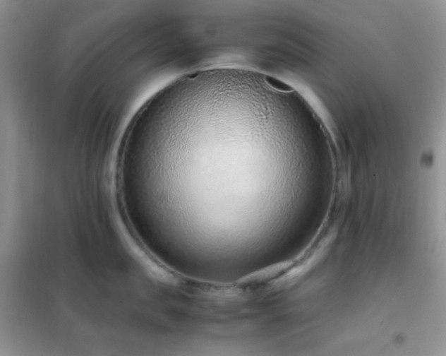 X0000102380957200808011534