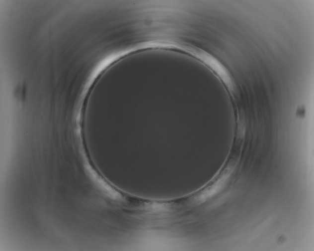 X0000102380958200808011534