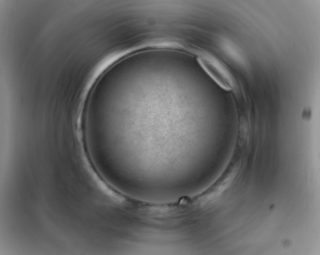 X0000102380959200808011534