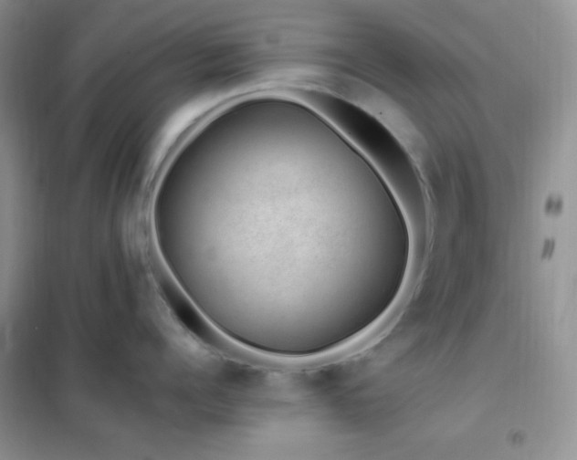 X0000102380960200808011534