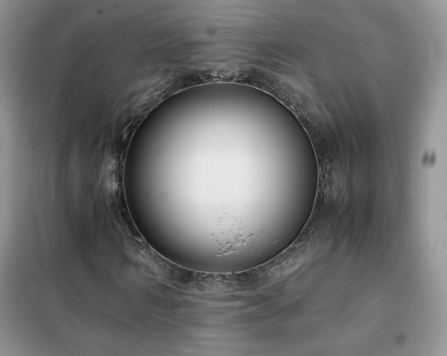 X0000102380962200808011533