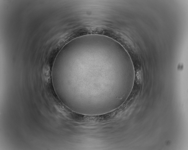 X0000102380963200808011533