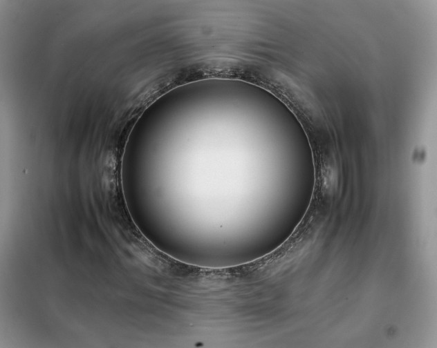 X0000102380964200808011533